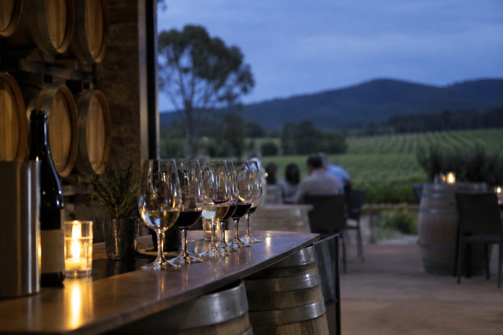 A cellar door tasting counter with wine glasses lined up beside barrels