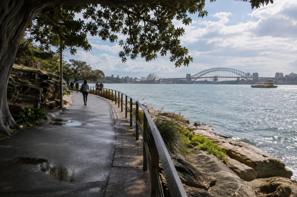 A paved coastal walking path curving along a headland above rock platforms