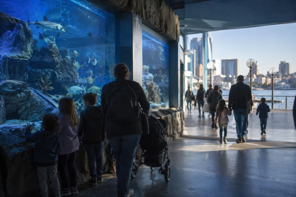 Families walking past aquarium tanks lit in blue at a Darling Harbour attraction