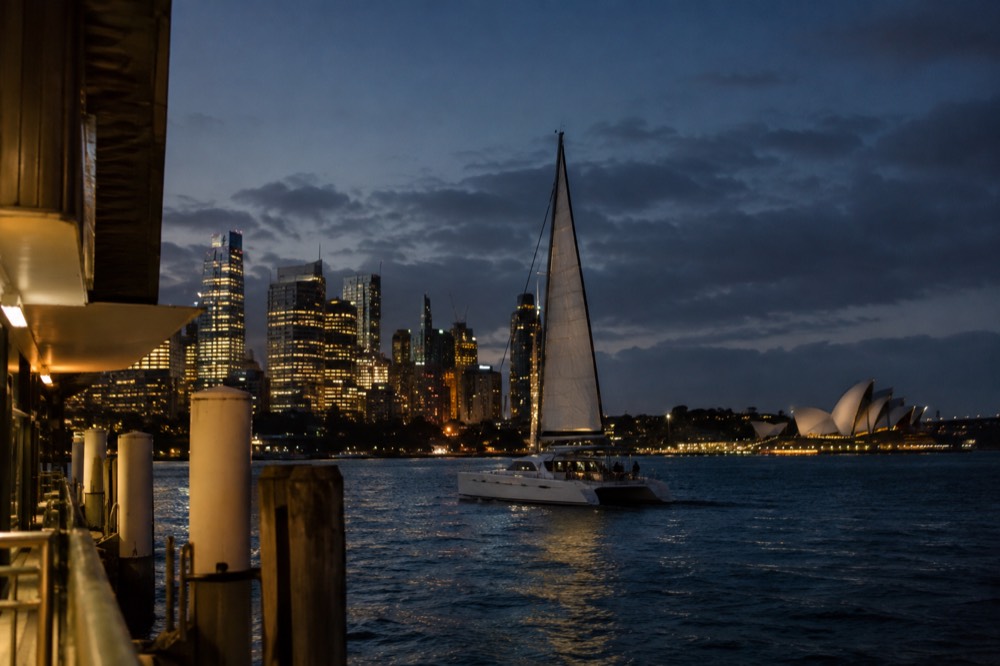 Sydney Harbour at dusk with a sailing catamaran and the illuminated skyline behind it