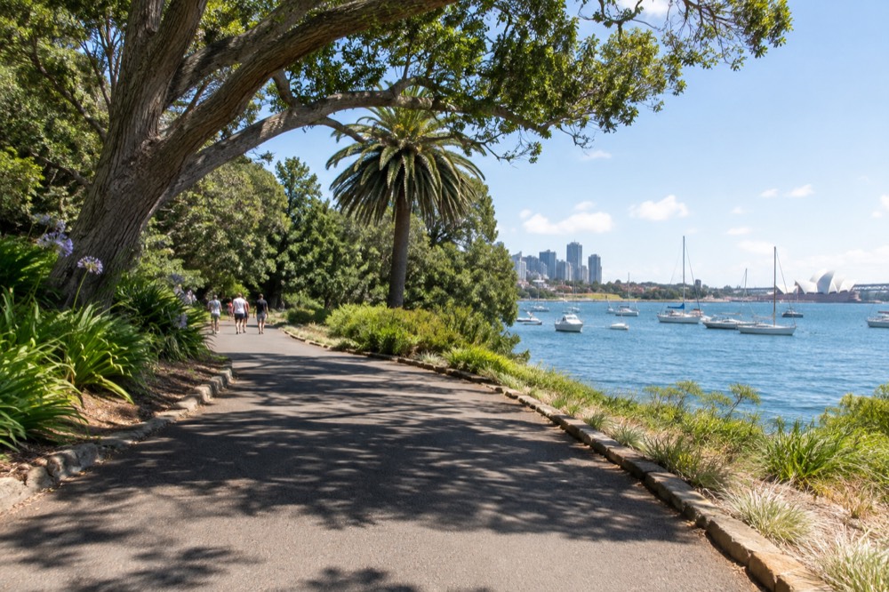A sealed level path through the Royal Botanic Garden Sydney with harbour water and moored yachts beyond the trees