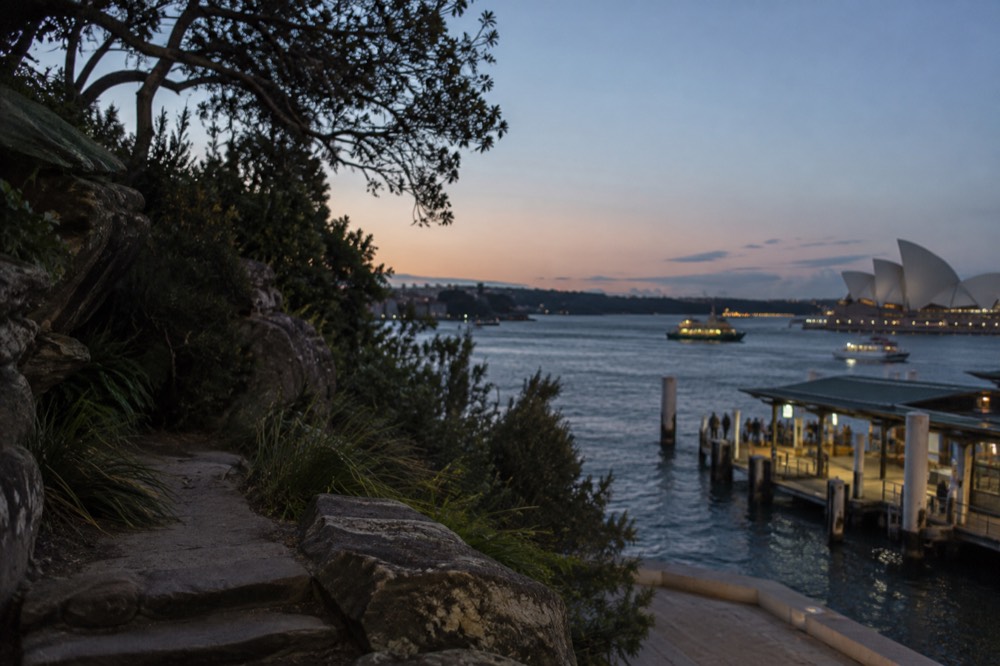 A bushland walking track along a sandstone headland above Sydney Harbour