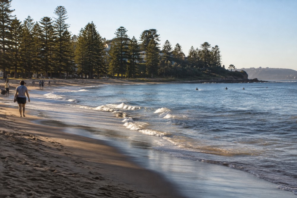 A calm sheltered cove with clear water and tree-lined shore near Manly