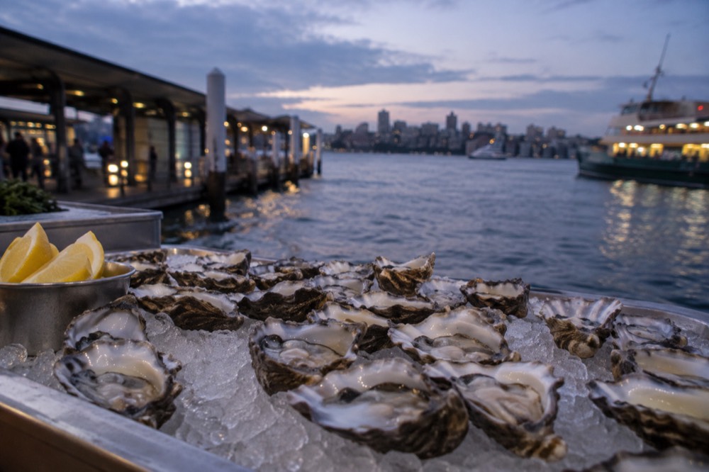 Freshly shucked Sydney rock oysters on ice at a seafood counter