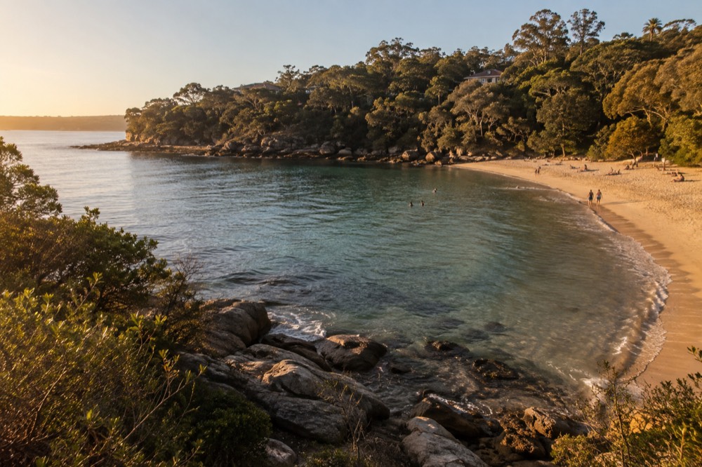 Calm tree-lined cove with clear water and a sandy beach at Shelly Beach