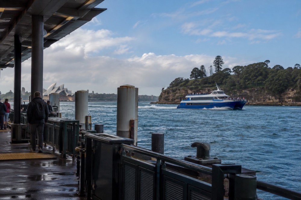 A blue whale-watching vessel cruising past a Sydney headland
