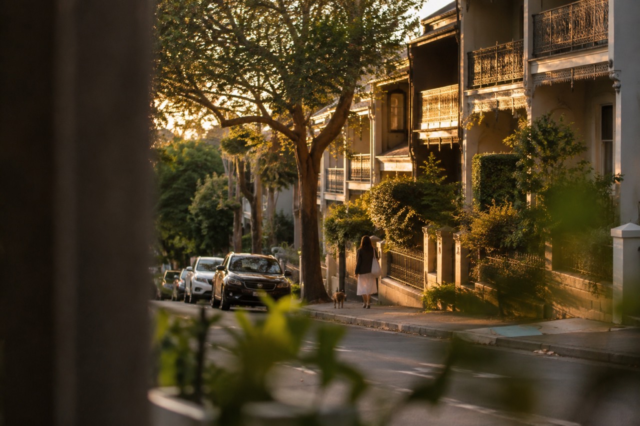 Victorian terrace houses with iron lacework balconies along a tree-lined Paddington street