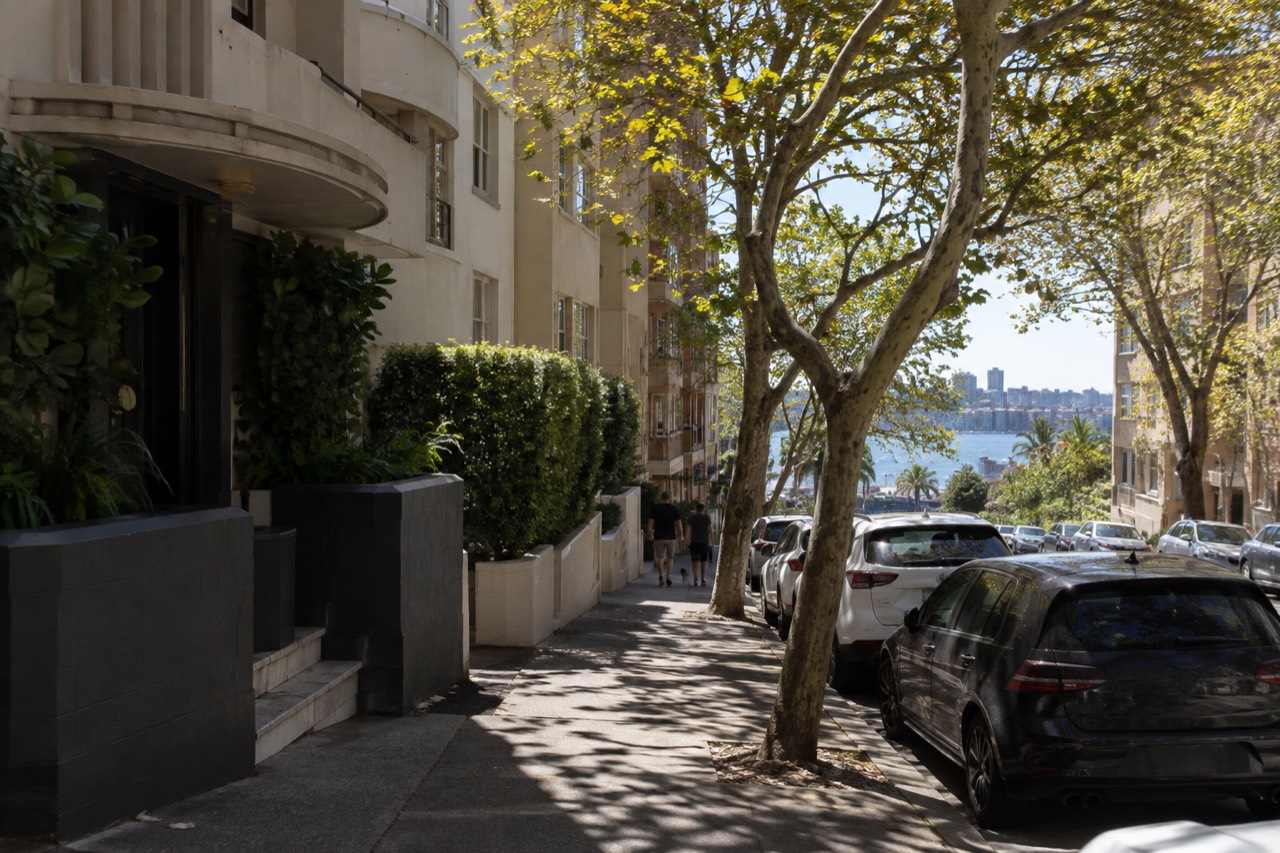 Leafy Potts Point street with art deco apartment blocks and plane trees