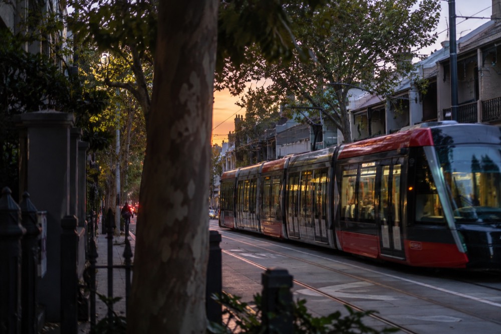 A light rail vehicle passing a tree-lined street at the edge of Surry Hills