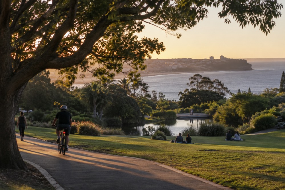 Wide parkland with ponds, fig trees and cyclists on a shared path