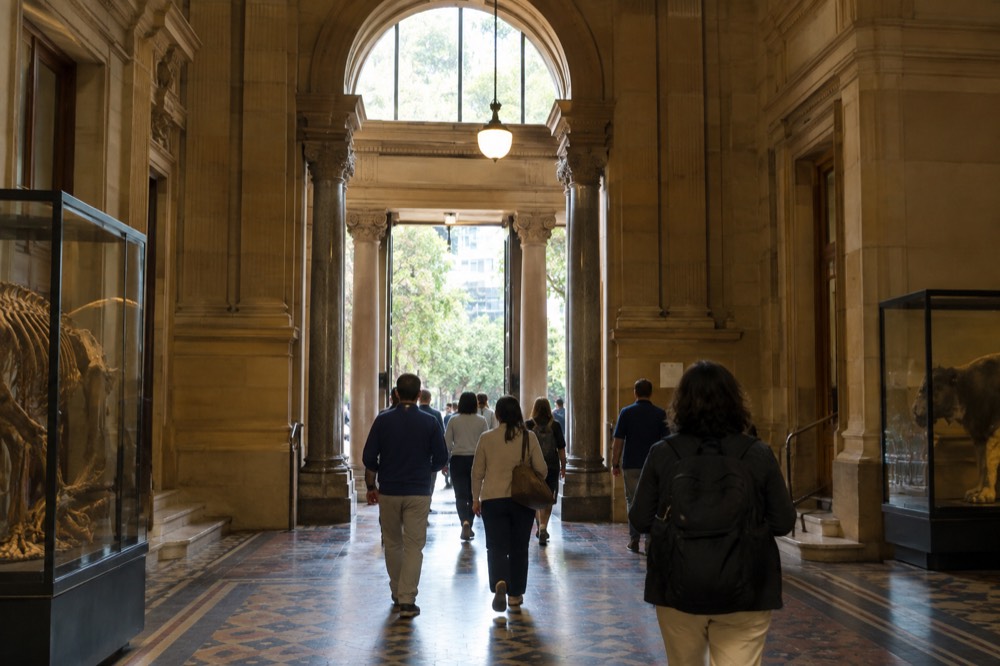 The sandstone entrance hall of the Australian Museum with visitors walking toward the exhibition galleries