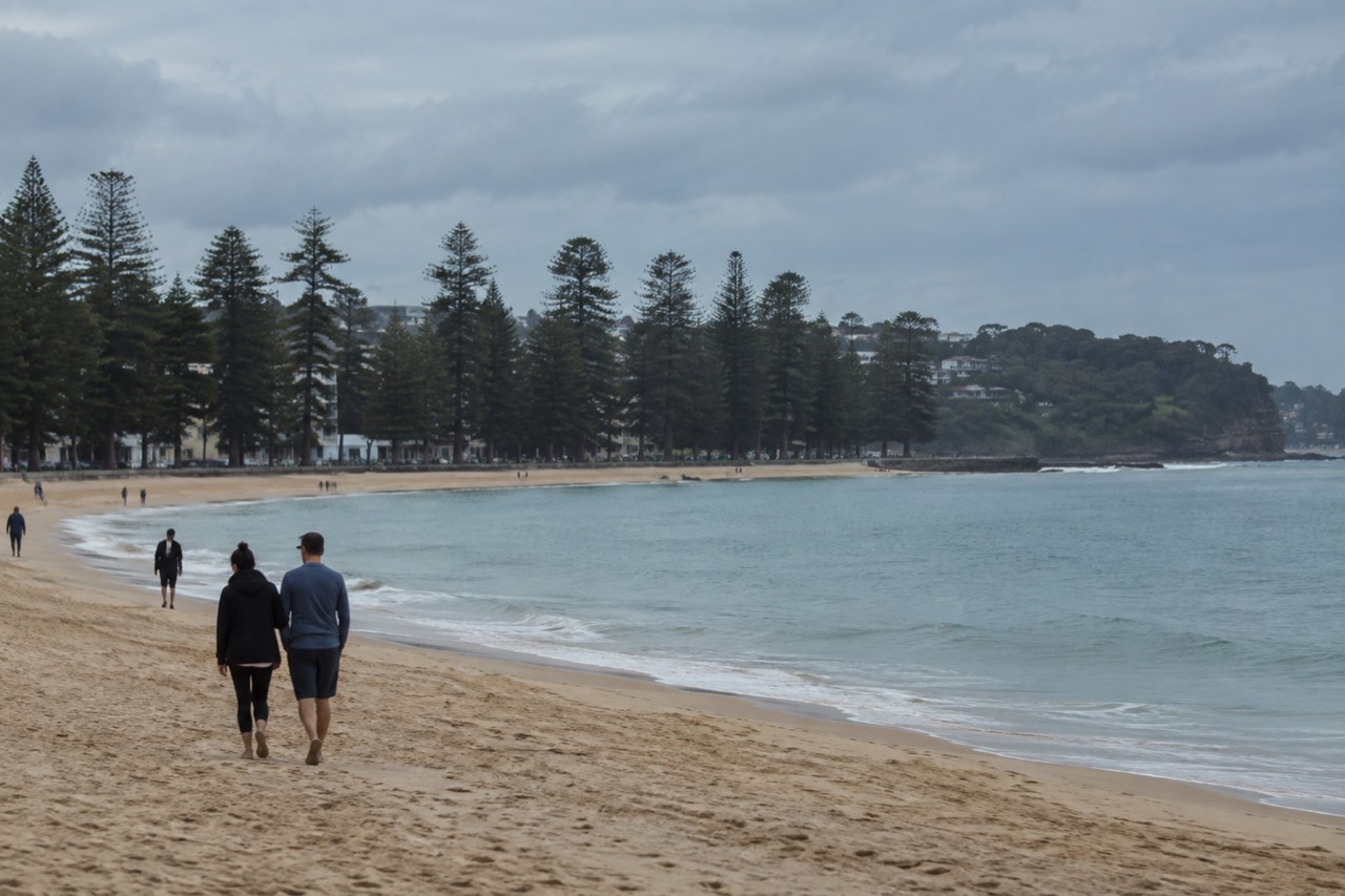 Manly Beach shoreline with pine trees and calm blue water
