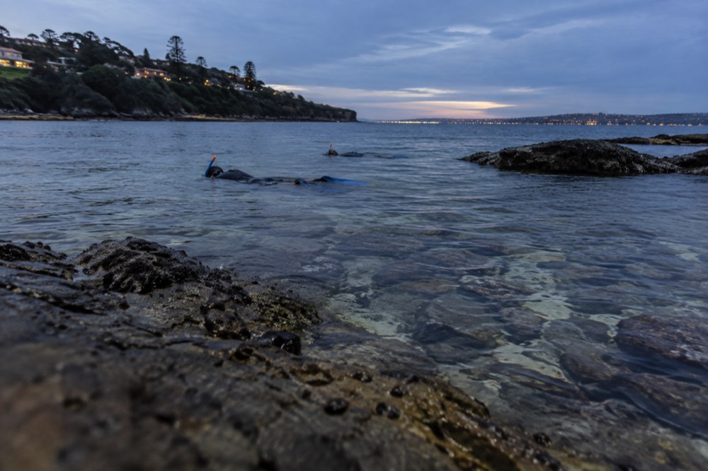 Snorkellers floating over a rocky reef with sunlight passing through clear shallow water