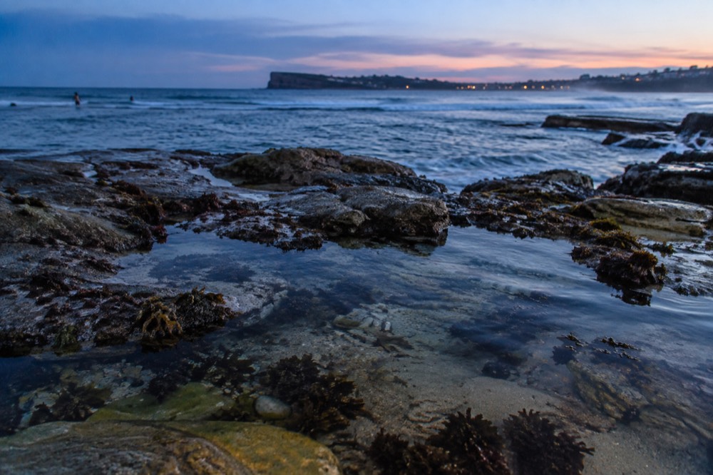 A rocky reef ledge in shallow clear water with seaweed and small fish