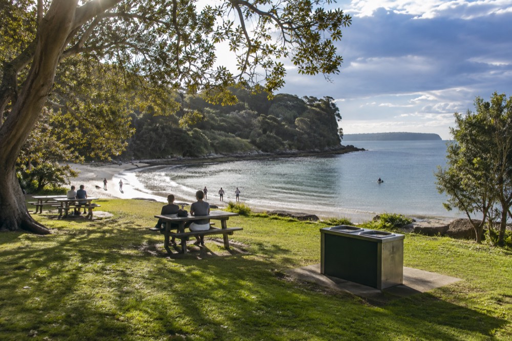 A grassed picnic area with shade trees beside a calm beach and free barbecues