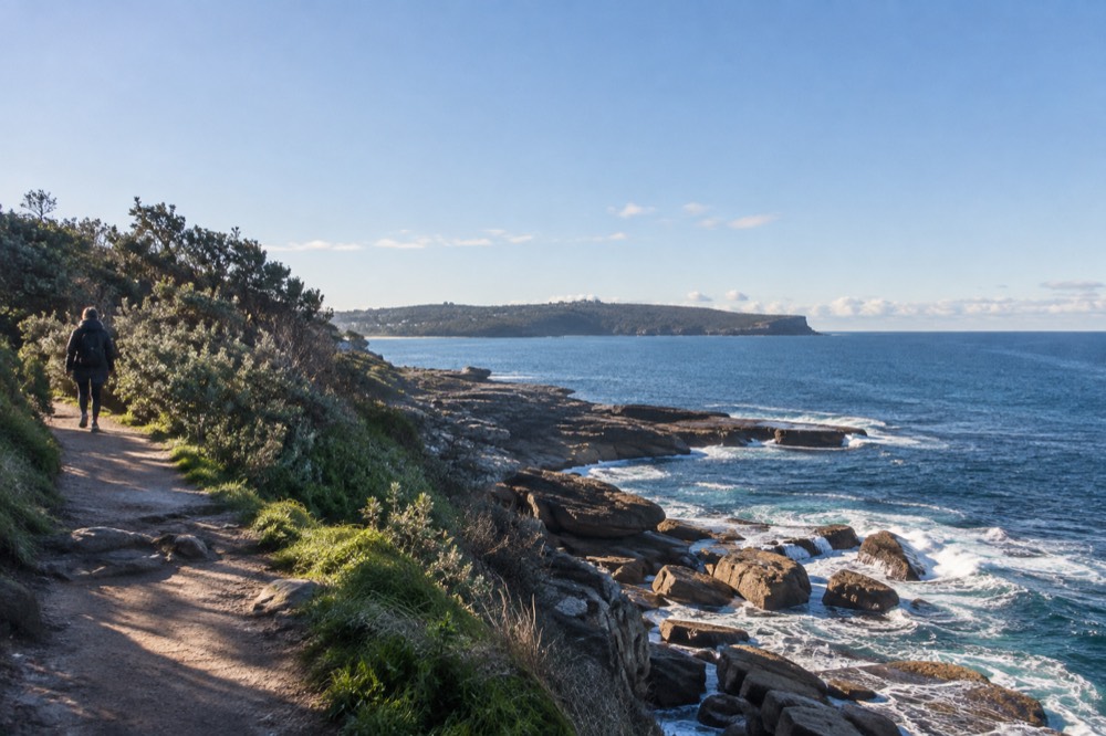 A headland walking track above a rocky bay with open water on the horizon