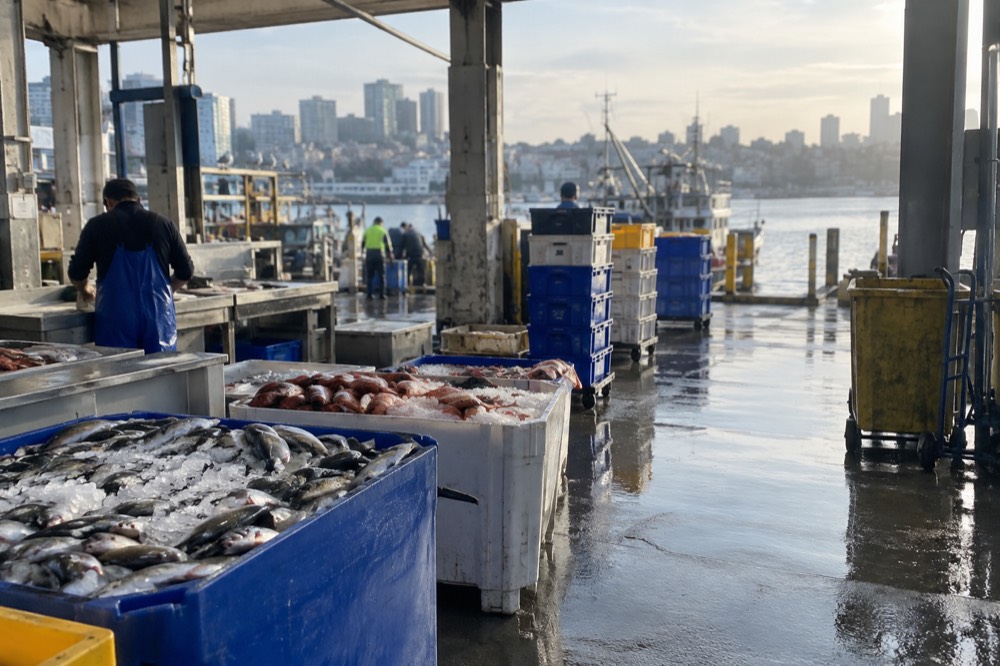 A quiet morning market entrance with wet floors and stacked crates before the crowds arrive