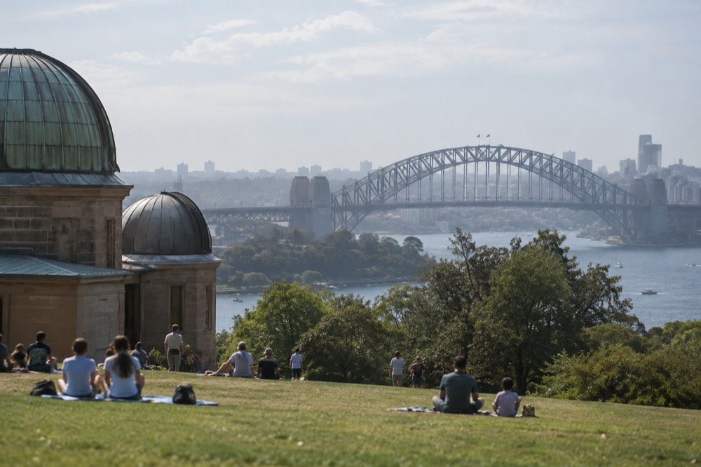 Families picnicking on a hilltop lawn with a large steel bridge spanning the harbour behind them