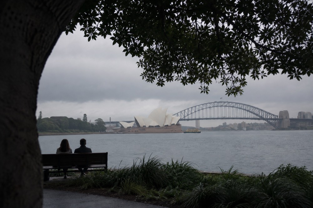 The Opera House and Harbour Bridge framed together across the Royal Botanic Garden waterline