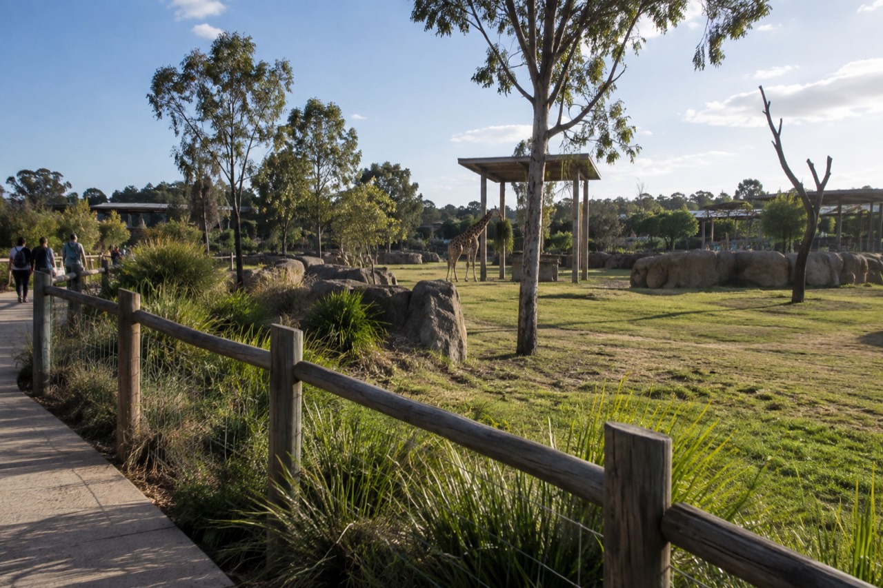Open grassland zoo precinct with wide paths and shaded animal enclosures under a clear sky