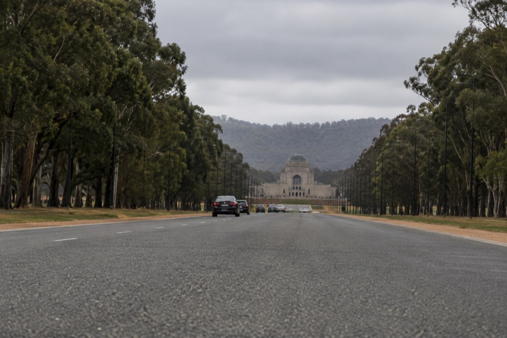 Wide avenue lined with native trees leading toward a memorial building at the end