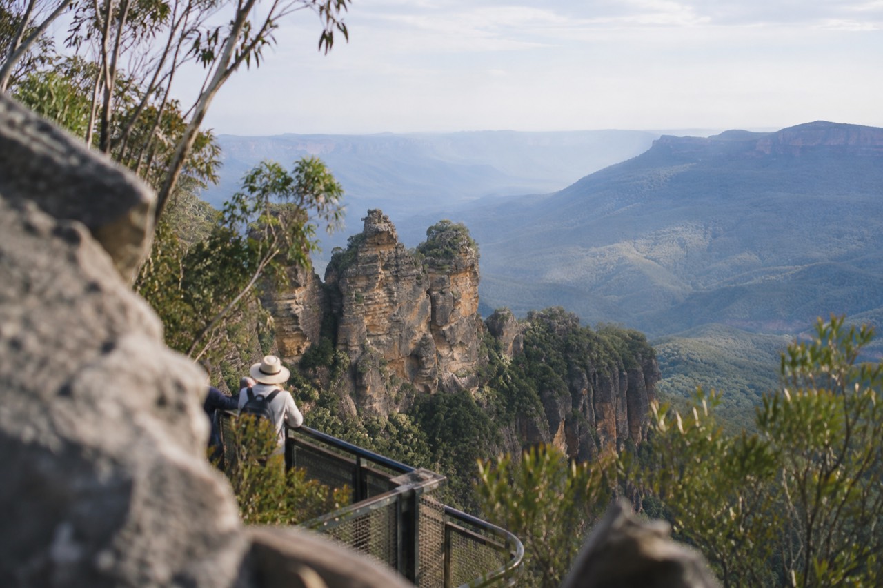 Sandstone cliffs and forested valley in the Blue Mountains seen from a lookout