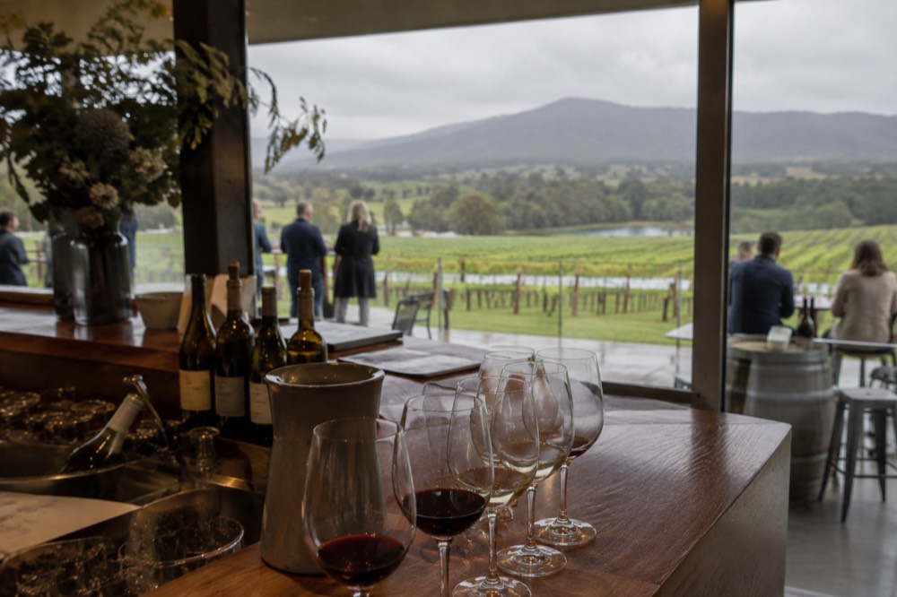 A cellar door counter with wine glasses lined up for a tasting