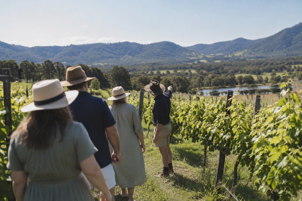 A small group walking between grapevines with a guide pointing toward the hills
