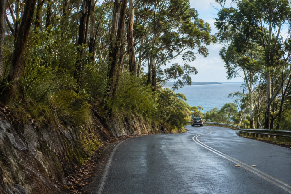 A winding coastal road through tall eucalypt forest with a glimpse of ocean beyond
