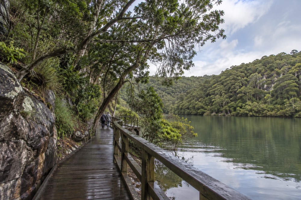 Mangrove boardwalk beside calm creek water at Bobbin Head