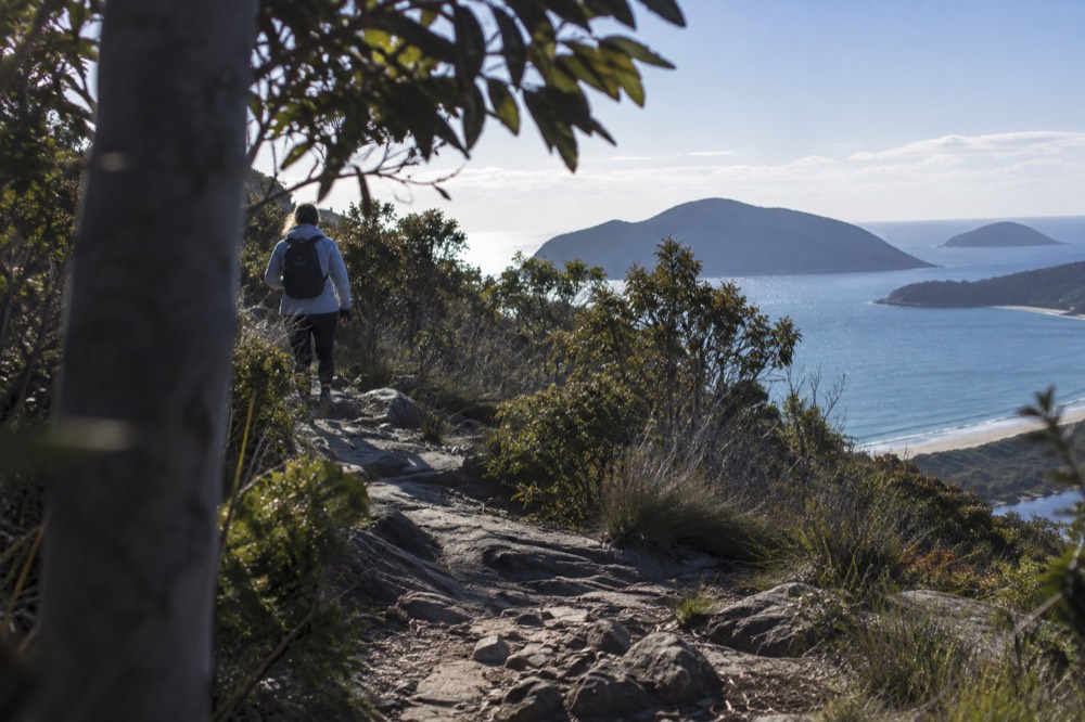 A walking track rising through low coastal bush toward a headland summit