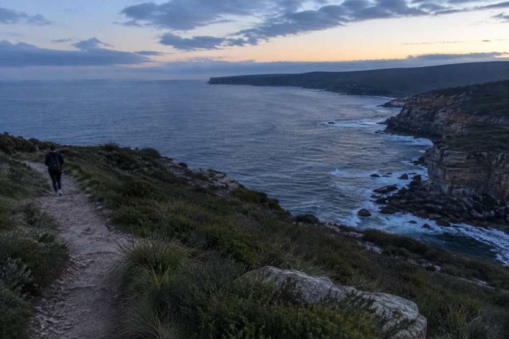A walking track along a grassy clifftop above the ocean