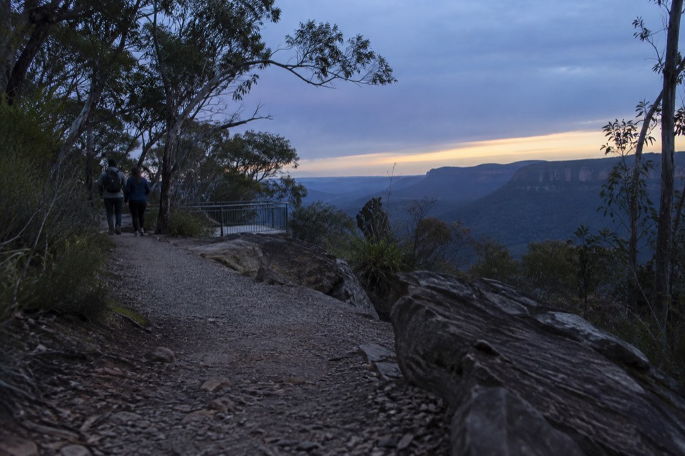 A gravel walking track leading through eucalyptus forest toward a cliff edge