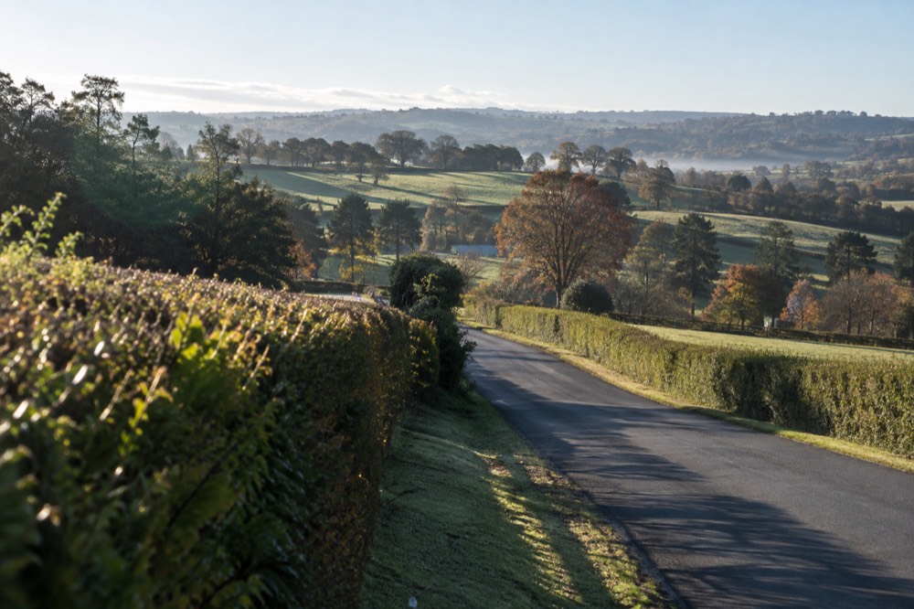 Hedgerows and rolling green paddocks on a Southern Highlands country road