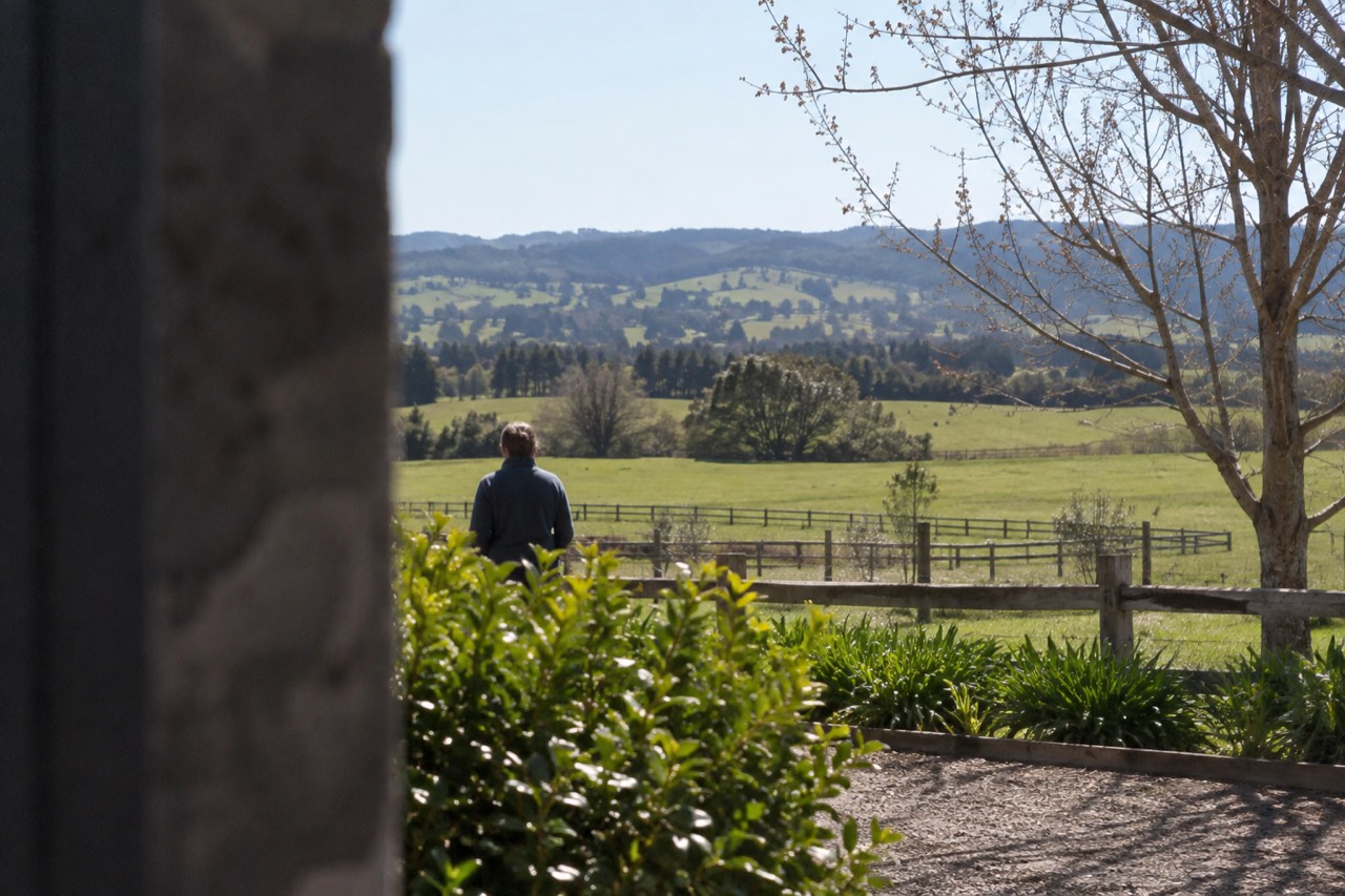 Rolling green farmland and hedgerows in the Southern Highlands on a clear morning