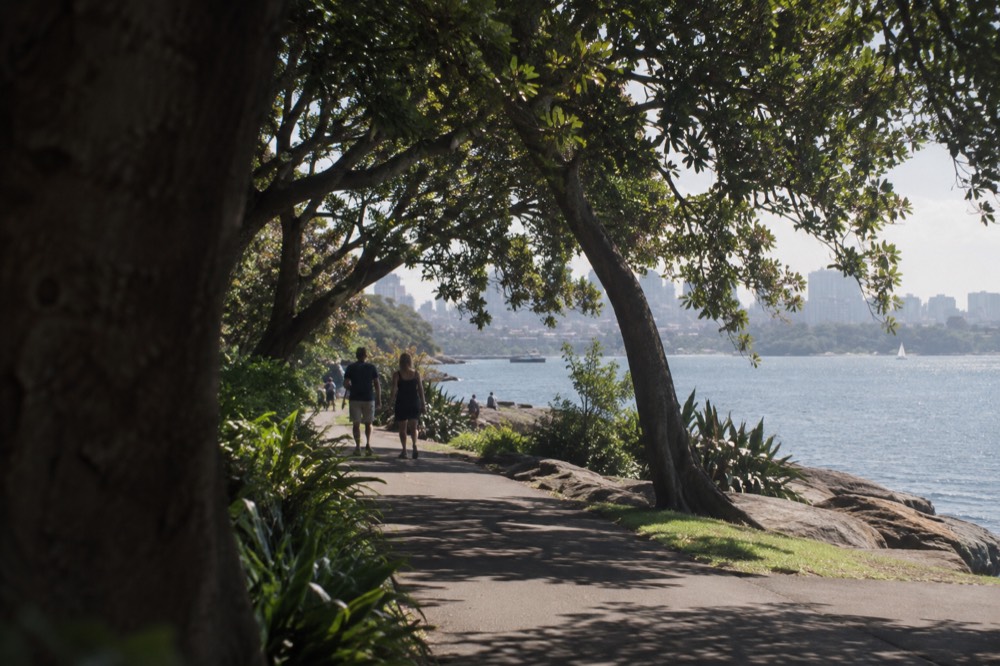 Shaded path inside the Royal Botanic Garden with harbour water beyond the trees