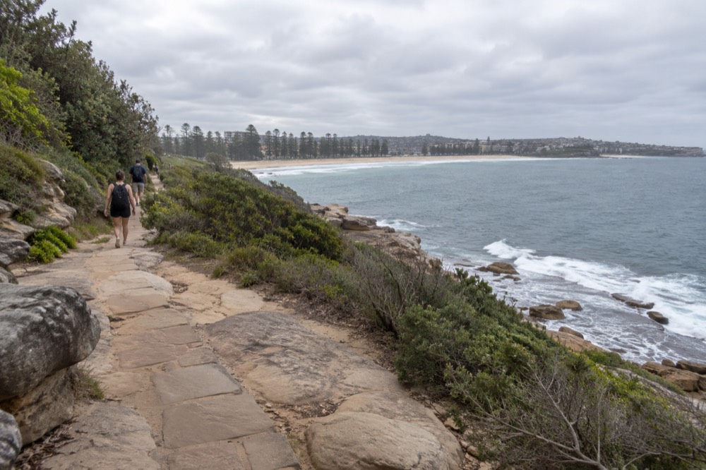 A narrow sandstone track winding through low coastal bushland above the water