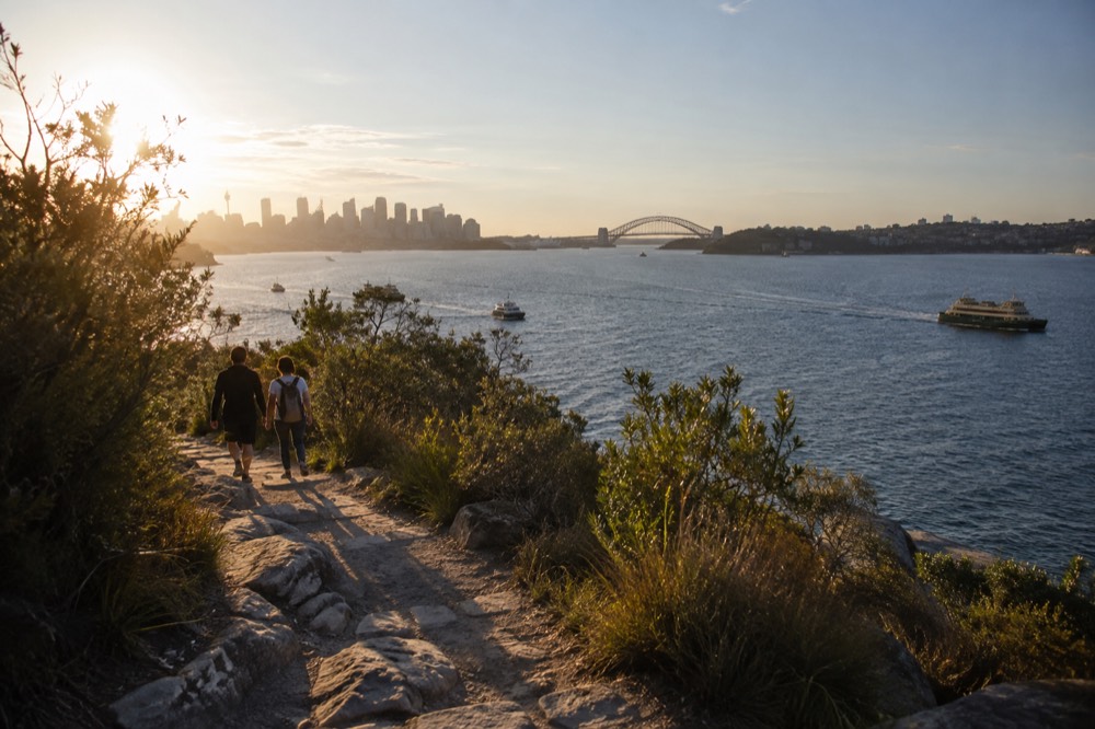 A sunlit clifftop path through low coastal scrub above the sea