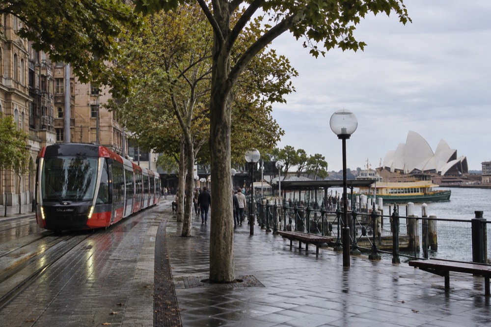 A modern Sydney light rail tram travelling along a tree-lined city street with heritage buildings on either side