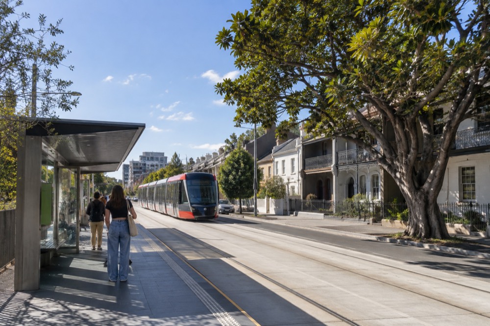 A tram stop platform in Surry Hills with terrace houses and a fig tree along the street