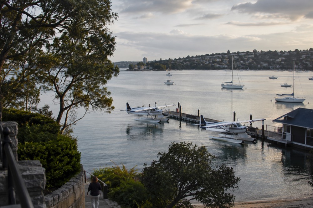 Calm bay at Rose Bay with seaplanes at a jetty and tree-lined shore in soft light