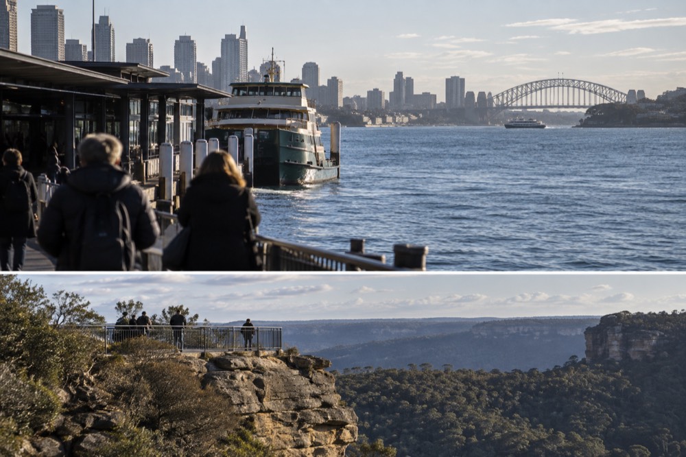 A sandstone cliff edge with forested valley views and a boardwalk lookout
