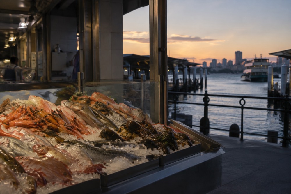 Fresh seafood on ice at an indoor market counter