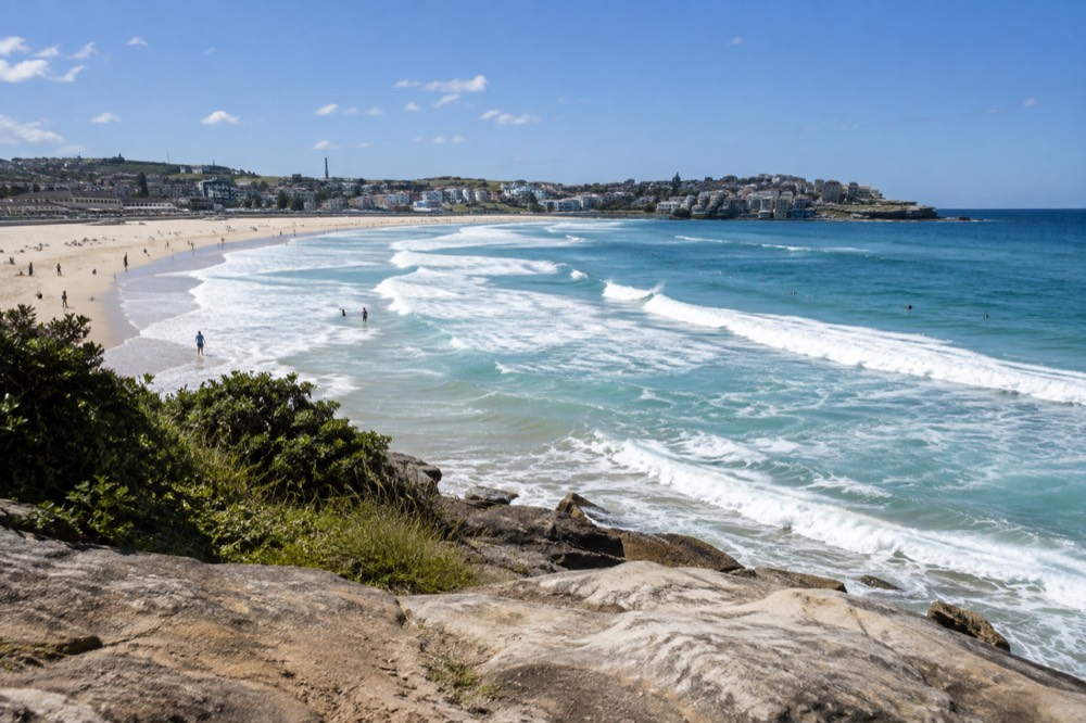 Bondi Beach seen from the coastal path with surf breaking between the flags