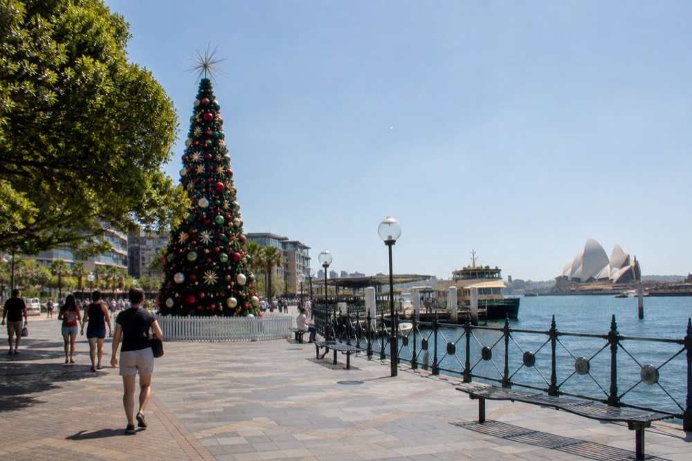 A decorated Christmas tree in a Sydney plaza with summer sunshine on the surrounding buildings