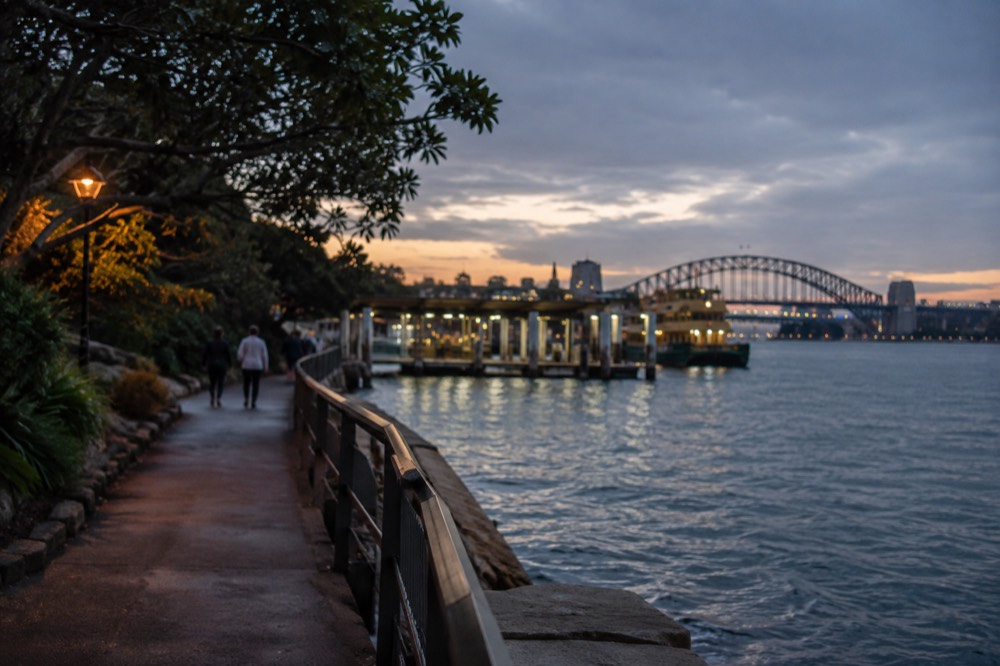 A quiet harbourside path in the botanic garden with morning light on the water