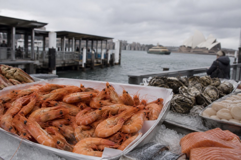 Paper tray of fresh prawns on a market counter beside other seafood